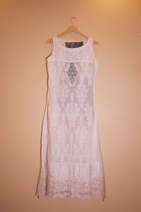 Ivory Muse Delicate White Net Embroidered Ensemble