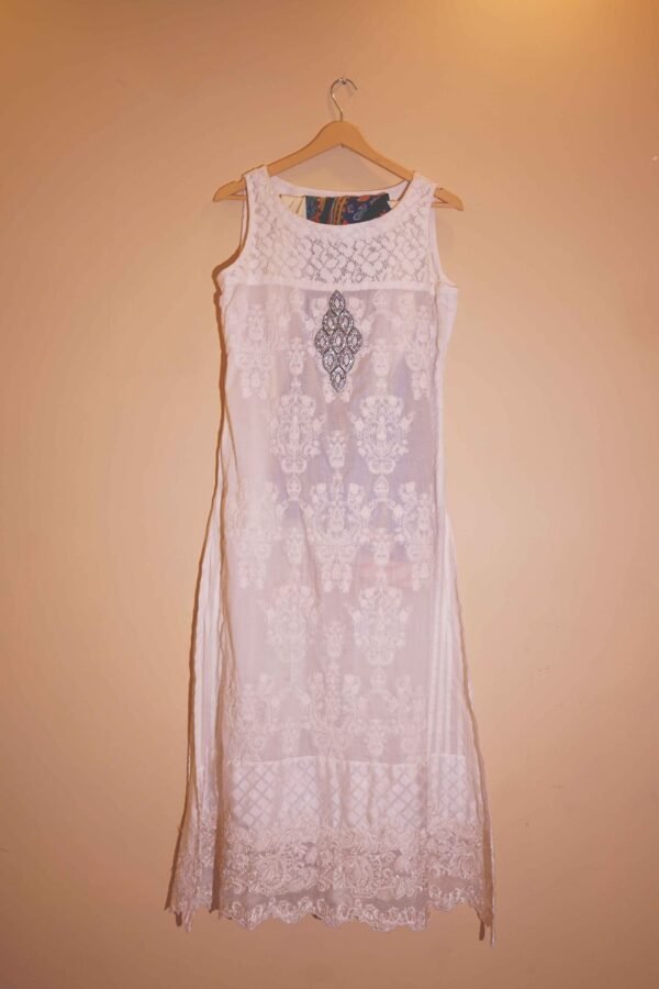 Ivory Muse Delicate White Net Embroidered Ensemble