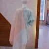 Pastel Mint Embroidered Kurta with Soft Peach Dupatta
